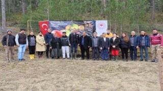 Karabük’ün saklı değerleri projesi kapsamında üretilen fidanlar toprakla buluştu