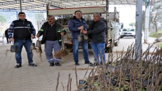 Nazilli Belediyesi üreticinin yanında