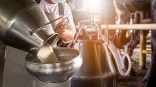 Ticari süt işletmelerince toplanan inek sütü miktarı %4.4 arttı