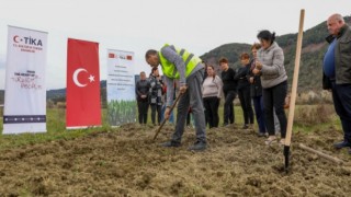 Arnavutluk’ta yetim çocukların ailelerine tarımsal destek