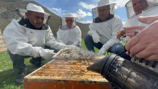 Bolaman Havzası projesi kapsamında arıcılara ilaç desteğinde bulunuldu