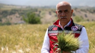 Bakan Kirişci 21 Milyon Ton Buğday Rekoltesi Beklendiğini Açıkladı