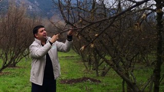 Fındık Bahçelerinde Kontrol ve Üreticileri Bilgilendirme Çalışmaları Devam Ediyor