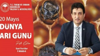 İl Tarım Ve Orman Müdürü Suat Parıldar’dan Dünya Arı Günü Mesajı