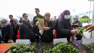 Nilüfer’de balkon tarımı bu fidelerle yaygınlaşıyor