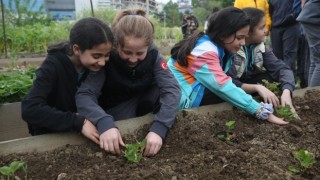 Öğrenciler Mini Bostan’da fide dikti