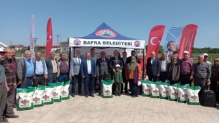 Samsun’da kuru fasulye yetiştiriciliği hibe tohumla artırılıyor