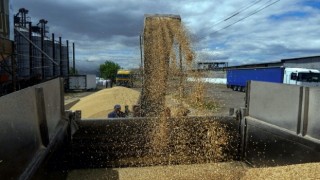 BM, tahıl koridoru anlaşmasının devam etmesi için çağrı yaptı