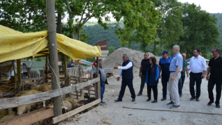 İl Müdüründen İlkadım Kurban Satış Noktasına Ziyaret