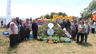 İzmit Dağköy’de araka hasat şenliği düzenlendi