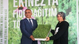 Kavak’ta Tıbbi Aromatik Bitki Tohumu Dağıtımı Yapıldı