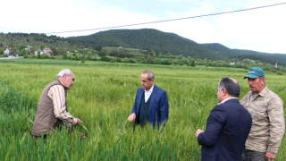 Toprak her zaman emeğin karşılığını vermiştir