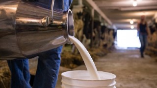 TÜSEDAD: Çiğ Süt Alım Fiyatı Litrede 15 Lira Olmalıdır