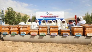 Arılı kovan destek projesinde ilk hasat yapıldı