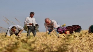 Başkan Zolan ile hasat bereketi