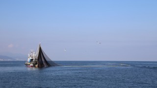Denizlerde Avlanma Sezonu 1 Eylül'de Başlıyor