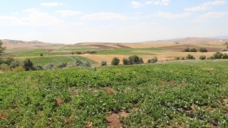 Elazığ’da 5 bin 700 dekar tarım arazisi suya kavuşacak