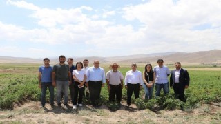 Patates yetiştiriciliği projesi kapsamında çiftçilere ziyaret