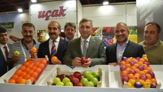 Avrupalı zincir marketler Türkiye’nin lezzetli yaş meyve sebzelerini almak için Antalya’ya akın ettiler