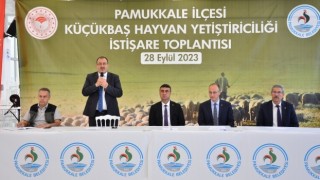 Pamukkale’de Küçükbaş Hayvan Yetiştiriciliği İstişare Toplantısı Gerçekleştirildi