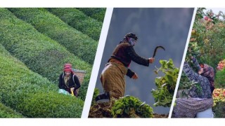 Tarım Ve Orman Bakanı Yumaklı, 21 Yılda Kadın Üreticilere Çeşitli Alanlarda Yaklaşık 15 Milyar Lira Destek Verdiklerini Açıkladı