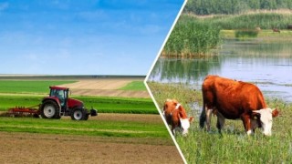 Tarımsal Destekleme Ödemeleri Hesaplara Aktarıldı