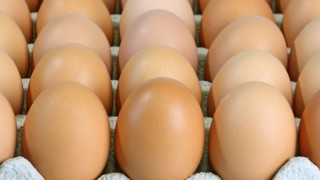 Tavuk yumurtası üretimi yıllık %4,5 arttı