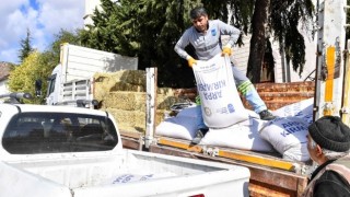 BAKAP Mahsülleri Başkentli Çiftçilerin Yüzünü Güldürüyor