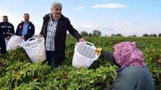 Turgutlu’da Zeytin Emekçilerine Büyükşehir’den Koruyucu Malzeme