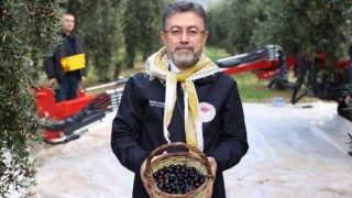 Bakan Yumaklı, Zeytin Üzerinden Yapılan Spekülasyonlara İtibar Etmeyin