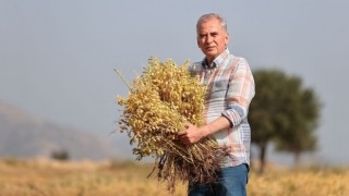 Büyükşehir’den çiftçilere 70 ton nohut tohumu desteği