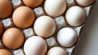 Tavuk Yumurtası Üretimi Yüzde 3,8 Arttı