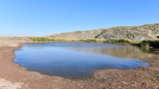 Ankara Büyükşehir Belediyesinden Hayvansal İçme Suyu ve Tarımsal Sulama Göleti
