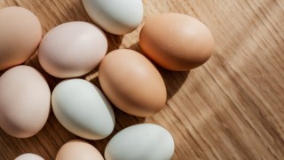 Tavuk yumurtası üretimi %3,5 arttı