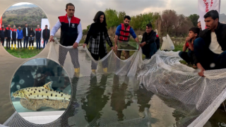 Türkiye Sularında Leopar Sazanı Tespit Edildi