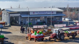 Zeytin üreticileri de Büyükşehir ile kazandı