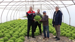 Edirne'de seralar yenileniyor