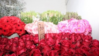 İzmir'de Sevgililer Günü Çiçekleri Yola Çıktı