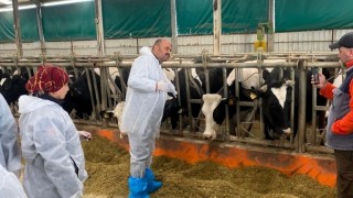 Kırklareli'nde Sığır Tüberkülozu ile Mücadele Toplantısı