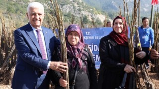 Muğla Büyükşehir Belediyesi 53 Bin Adet Meyve Fidanı Dağıtıyor