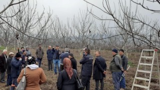 Niksar'da Ceviz Budama Kursu Tamamlandı