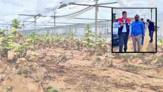 Şanlıurfa’da Selde Zarar Gören Seralar Ziyaret Edildi