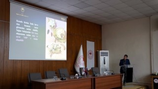 Adana’da Pembekurt Zararlısına Karşı Bilgilendirme Toplantısı Yapıldı