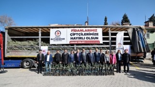 Başkan Zolan, “Zeytin üretiminde öncelikli hedef Türkiye’de ilk 10”