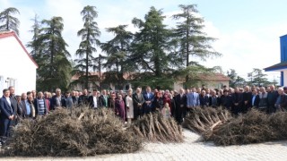 Dodurga’da Cennet Hurması Yetiştiriciliği İçin Büyük Adım