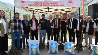 İzmir’de Organik Tarım Projeleri Kapsamında Fidan Dağıtımı