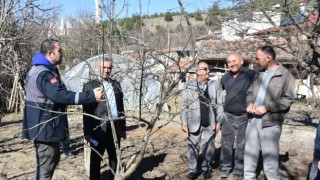 Sinop’ta Meyve Ağaçlarında Budama Eğitimi