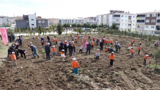 Kavak İlçesi Yaşar Doğu İlköğretim Okulunda Meyve Fidanı Dikimi Gerçekleştirildi