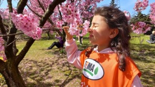 TEMA Vakfı ve Nezahat Gökyiğit Botanik Bahçesi iş birliğiyle çocuklar bitkilerin büyüleyici dünyasını keşfediyor