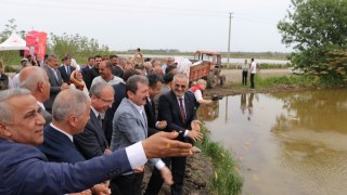 Bafra Ovası'nda Çeltik Bayramı: %75 Su Tasarruflu Üretimle Rekor Hedefi!